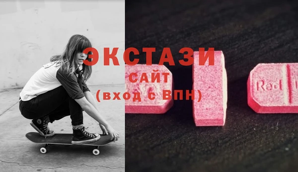 PSILOCYBIN Гусь-Хрустальный