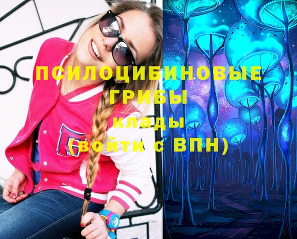 PSILOCYBIN Гусь-Хрустальный