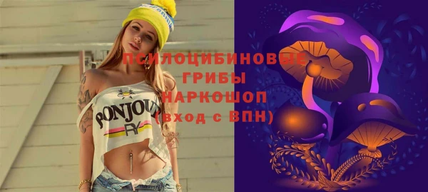 PSILOCYBIN Гусь-Хрустальный