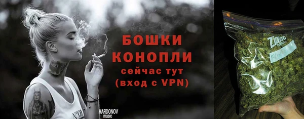 PSILOCYBIN Гусь-Хрустальный
