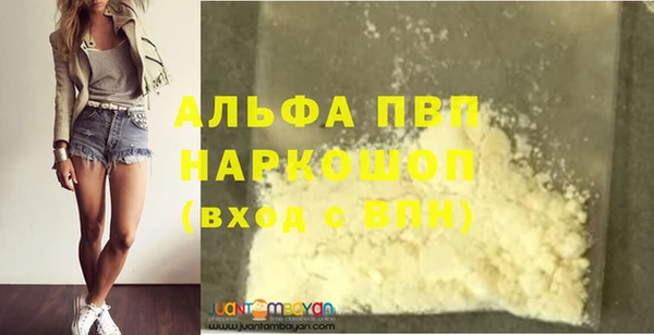 PSILOCYBIN Гусь-Хрустальный