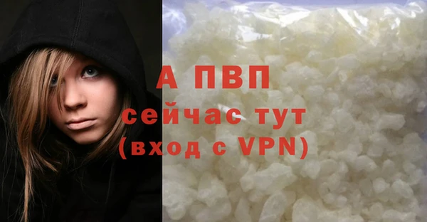 прущие грибы Снежинск