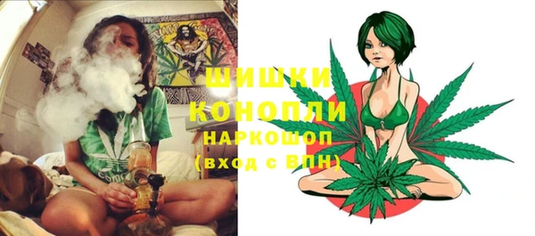 PSILOCYBIN Гусь-Хрустальный