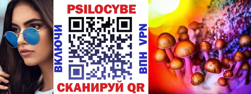 Псилоцибиновые грибы Psilocybine cubensis  Купить где  Сорочинск 